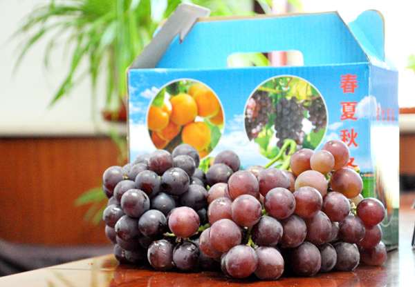 1538117146902204.jpg DSC_0451.jpg