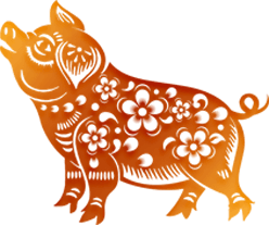 京都府駕校 京都府駕校