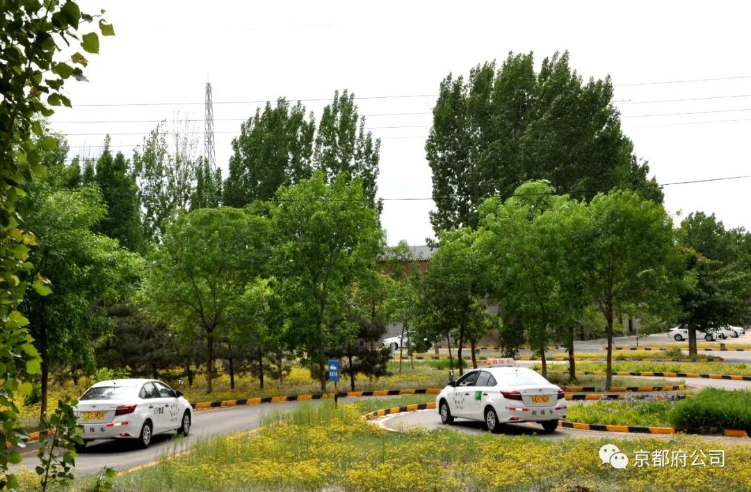 京都府駕校 京都府駕校