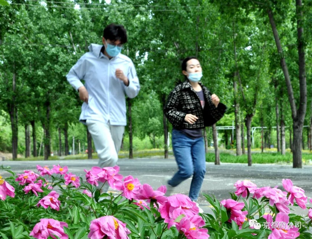 京都府駕校 京都府駕校