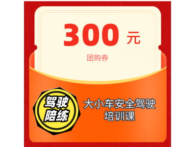大小車安全駕駛陪練