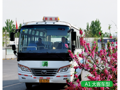 增駕大型客車駕照A1本